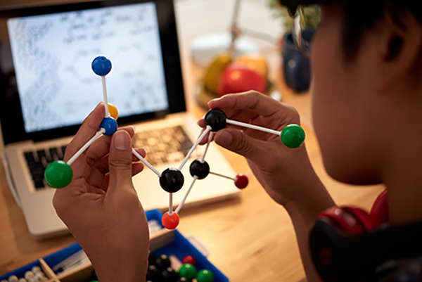 person examining a molecular model